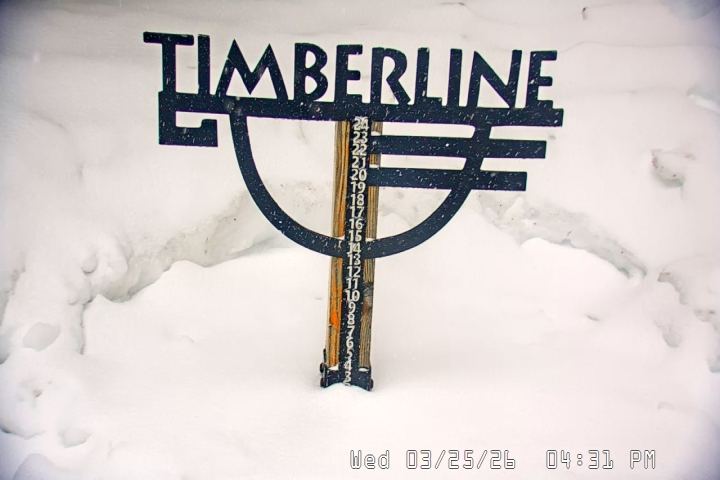 Live Feed: Snow Stake