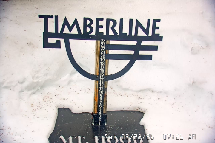 Live Feed: Snow Stake