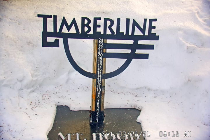 Live Feed: Snow Stake