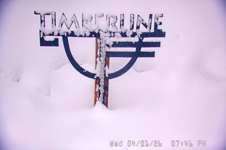 Live Feed: Snow Stake