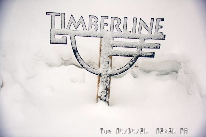 Live Feed: Snow Stake