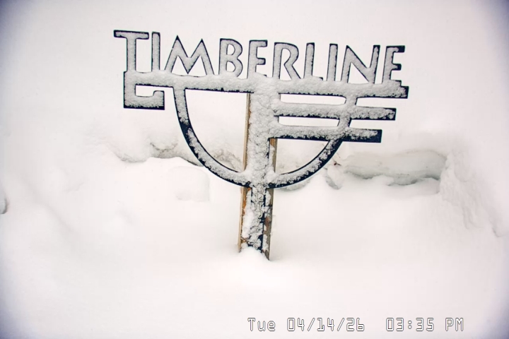 Live Feed: Snow Stake