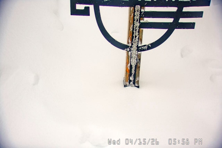 Live Feed: Snow Stake