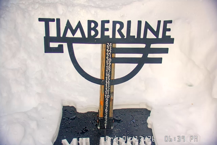 Live Feed: Snow Stake