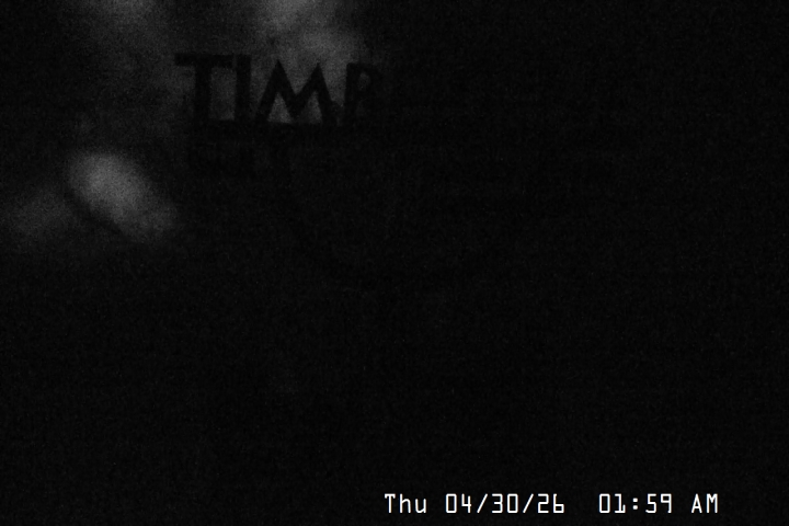 Live Feed: Snow Stake