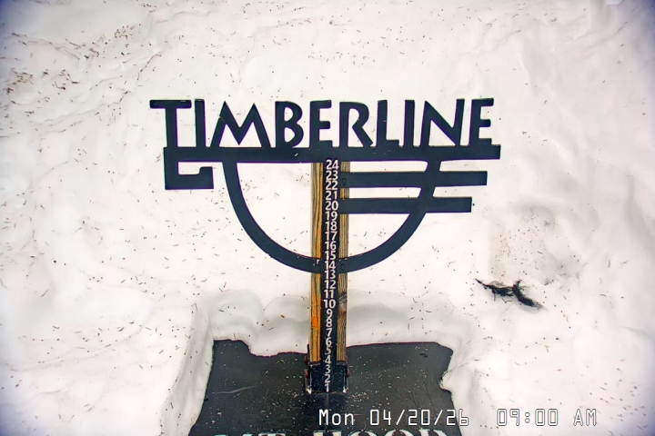 Live Feed: Snow Stake