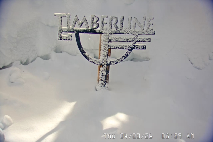 Live Feed: Snow Stake