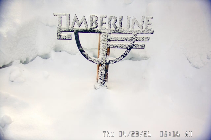 Live Feed: Snow Stake