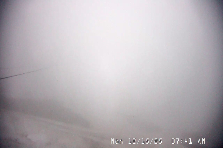 Live Feed: Palmer/Silcox Camera