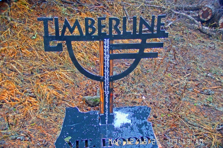 Live Feed: Snow Stake